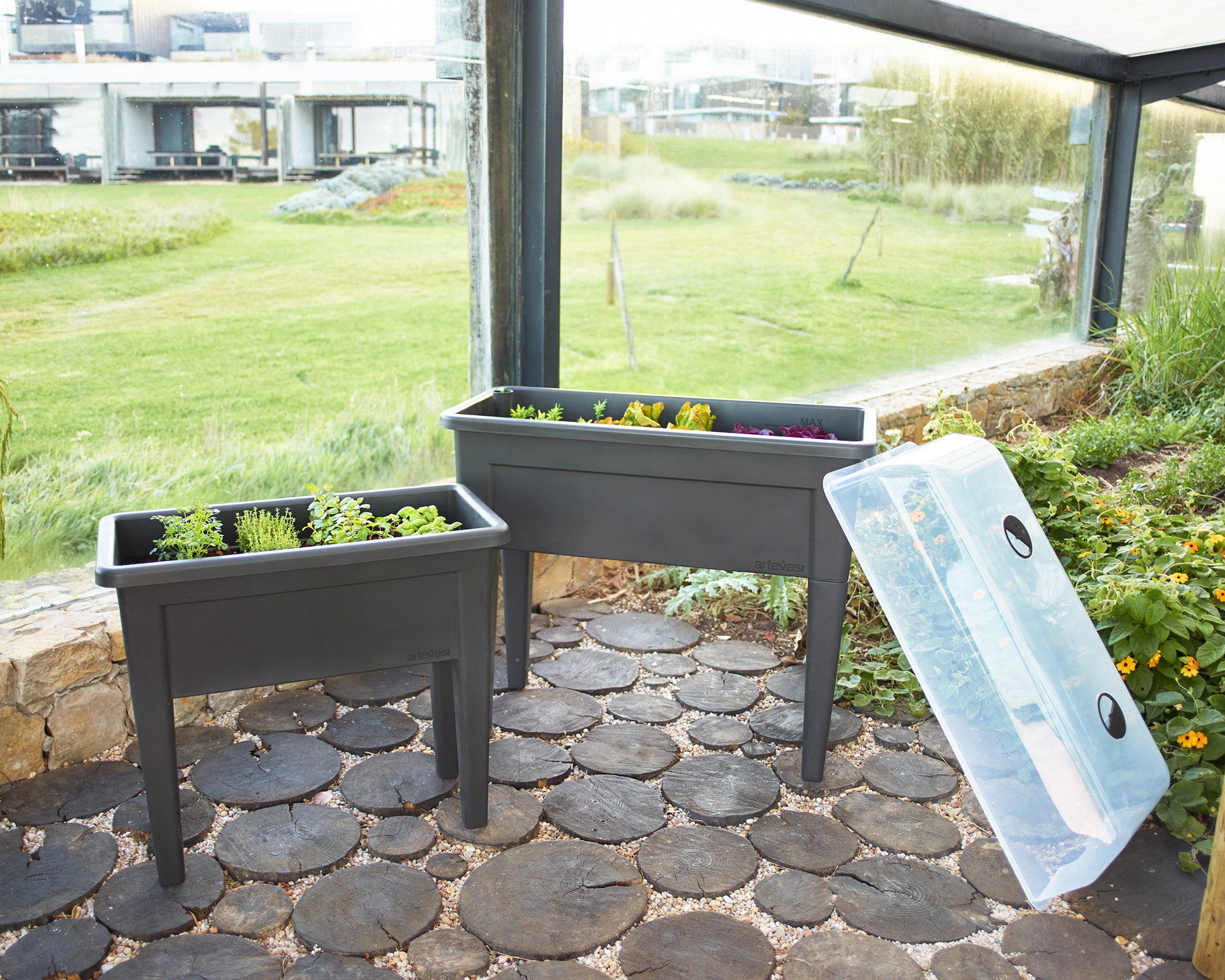 Horta de outono com A Tripeirinha