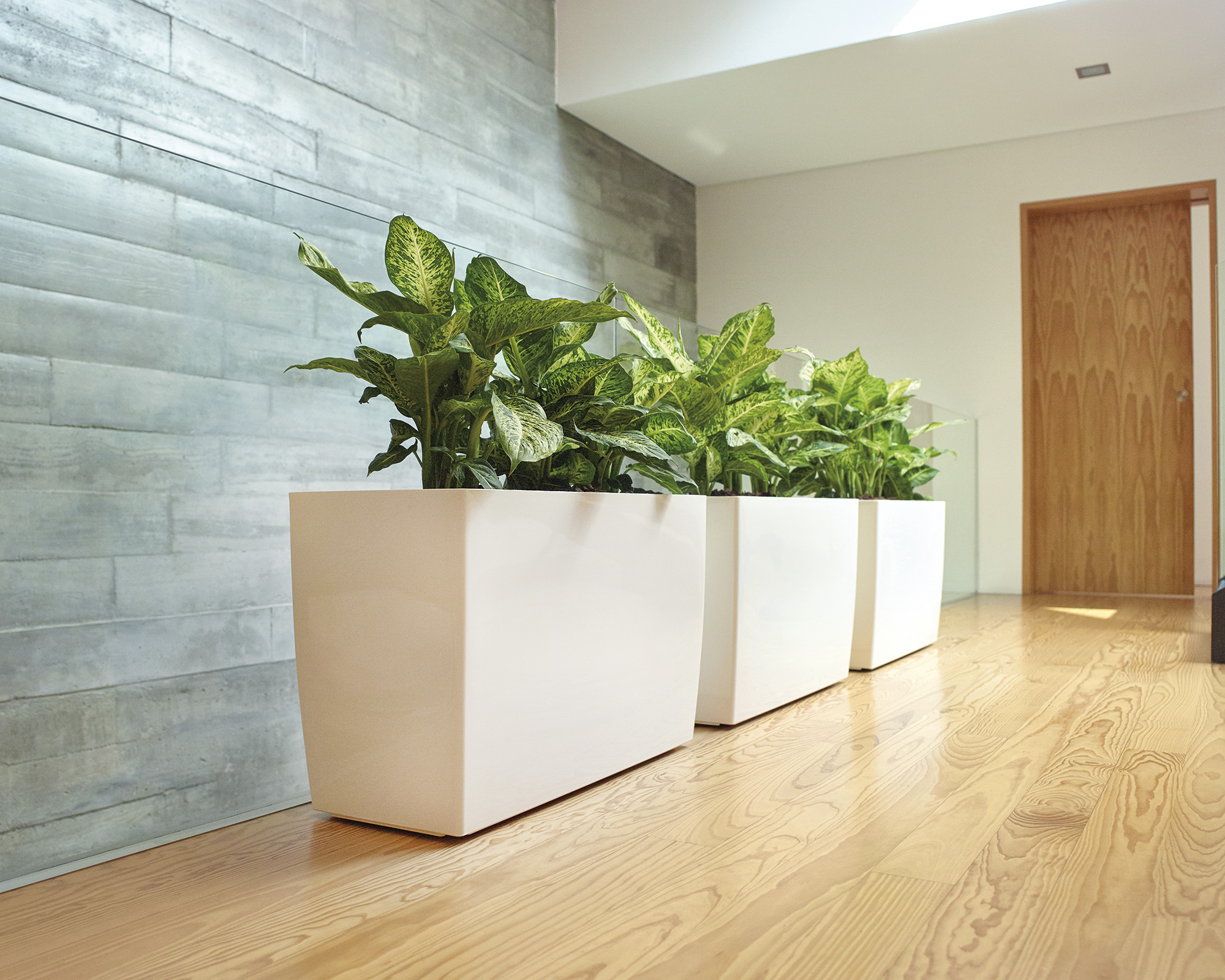 Marbella Plant Box