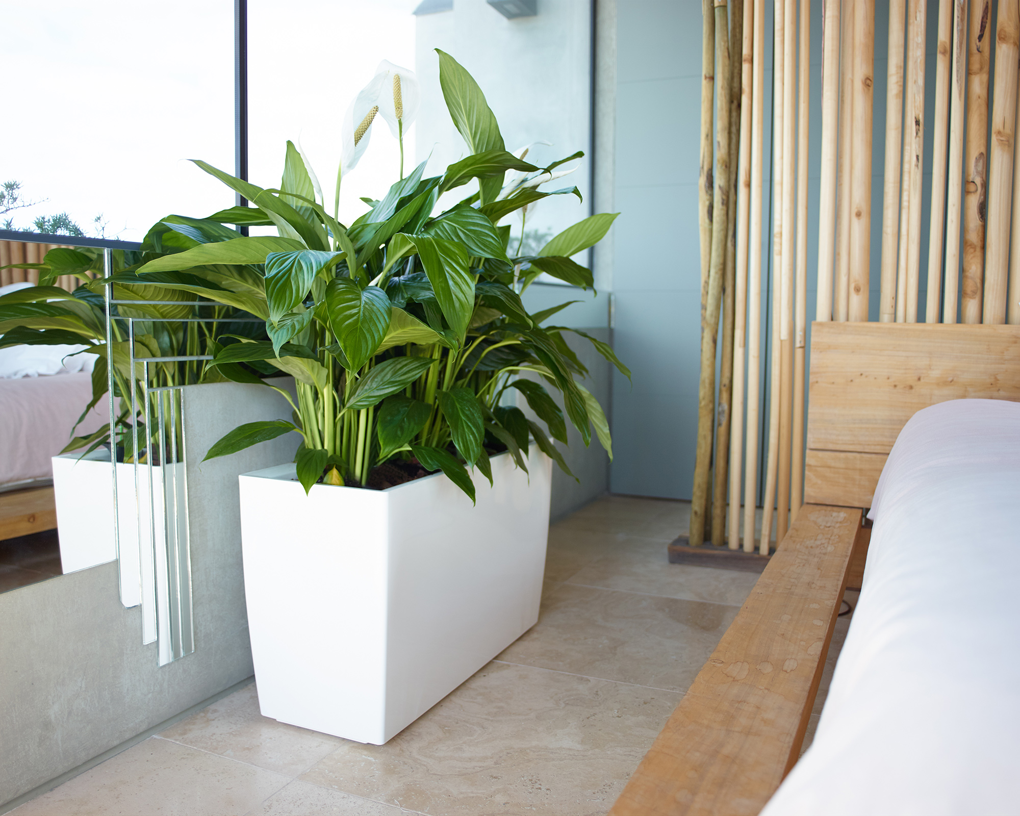 Marbella Plant Box Self Watering System