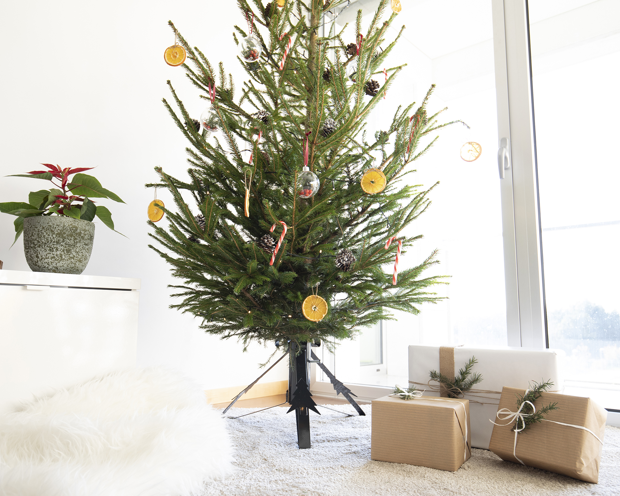 Christmas Tree Stand
