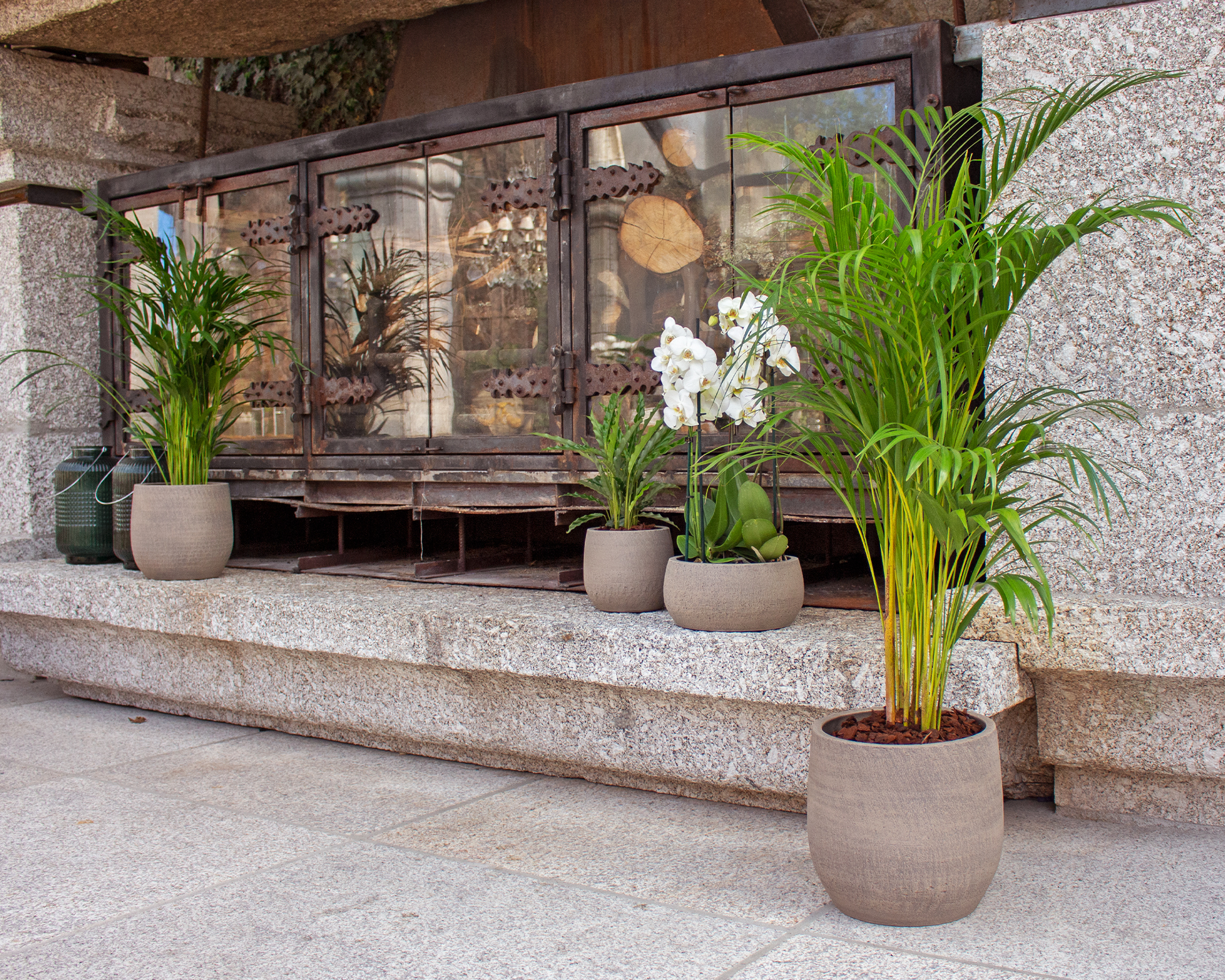 Hemera Pot