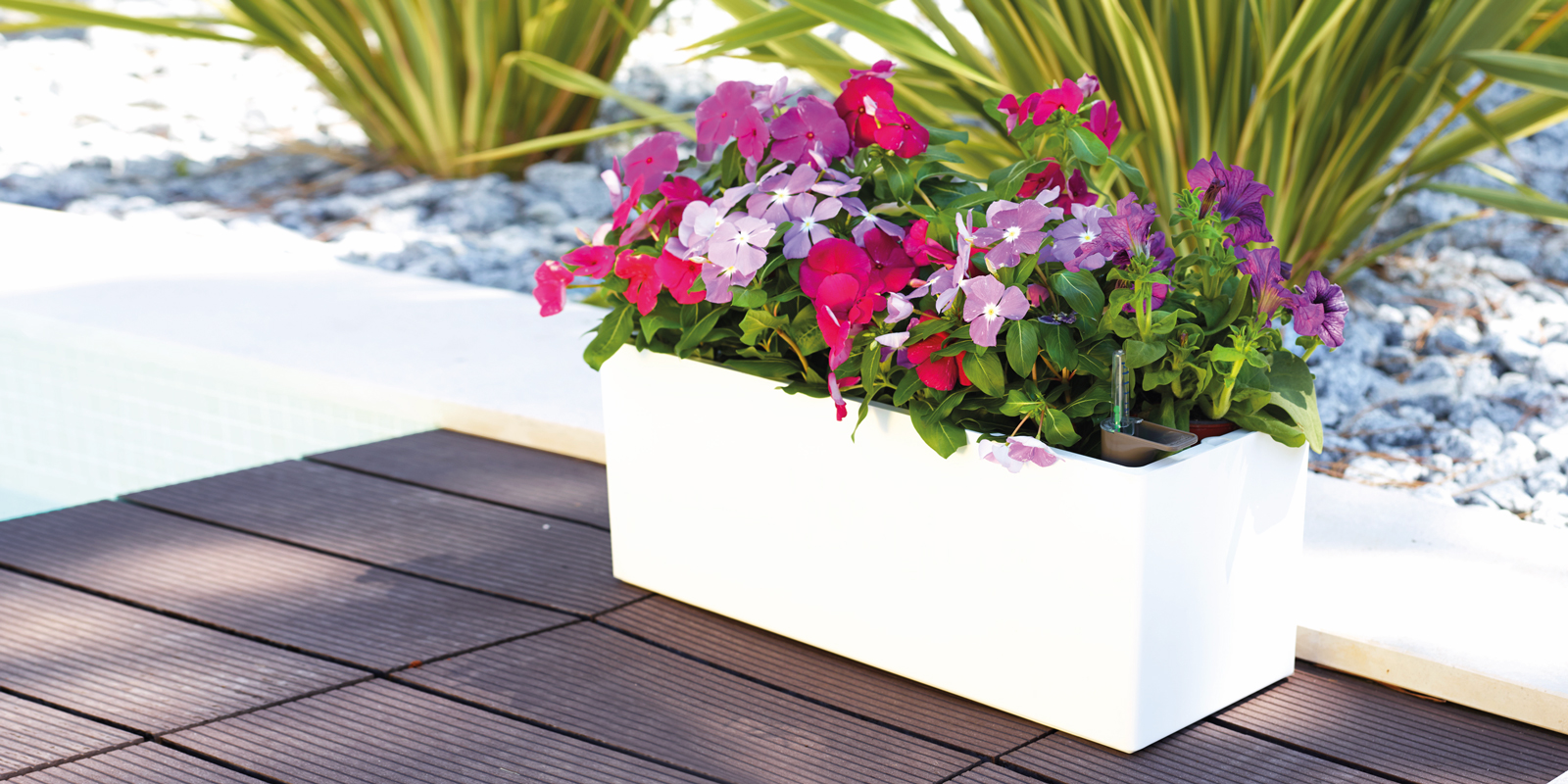 Rimini Plant Box Self Watering System