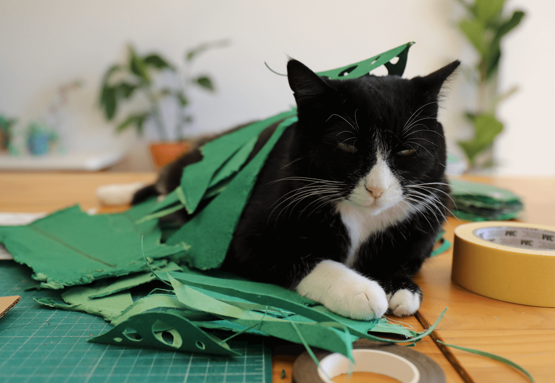 Blooming paper: a partnership with Oupas!